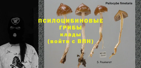 Альфа ПВП Алексин