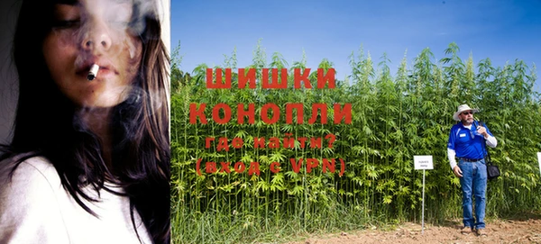 Альфа ПВП Алексин