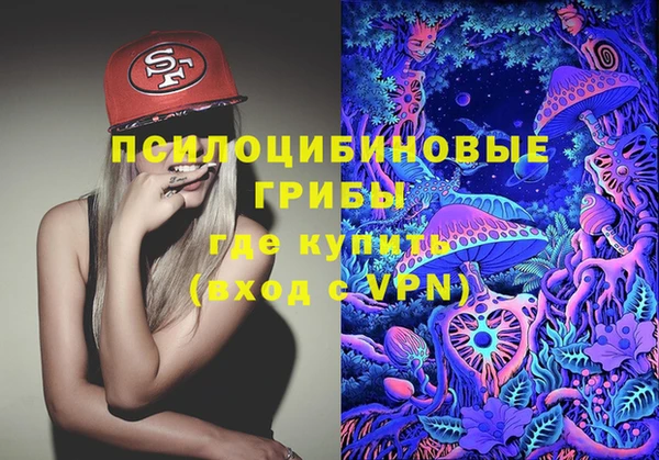 Альфа ПВП Алексин