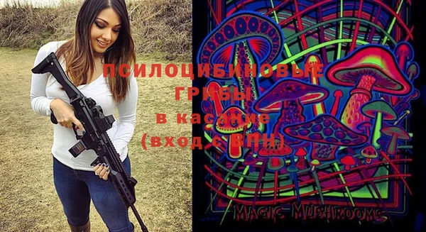 спиды Алексеевка