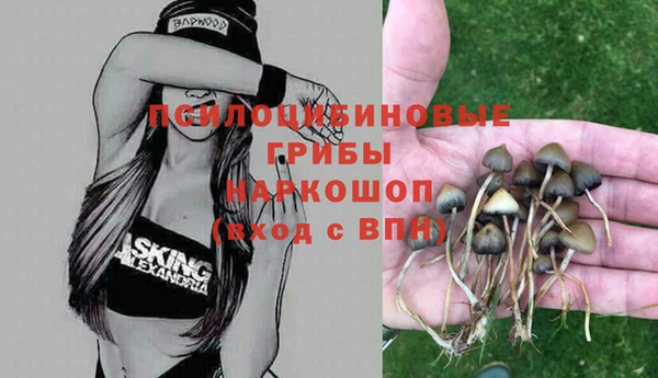 спиды Алексеевка