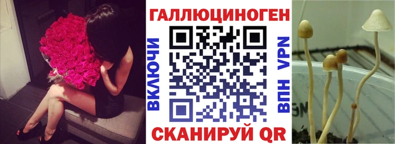 Псилоцибиновые грибы Magic Shrooms закладка Котово